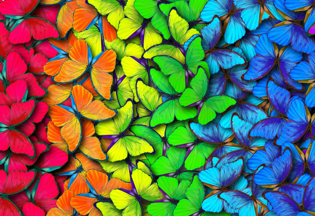 Studio Art Comunicação Visual